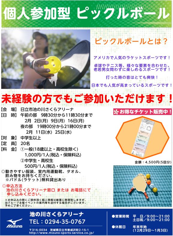 262月個人参加ピックルボールチラシ.jpg